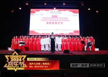 【视频】《雏菊花》喜乐年华老人中心