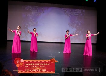 【视频】女声表演唱《梅花深处是我家》Angela Music Studio