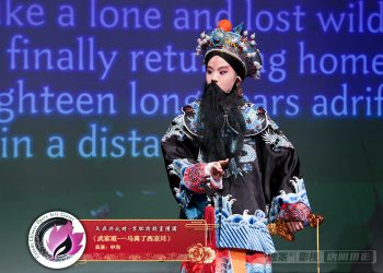 【视频】《武家坡-一马离了西凉川》申洵