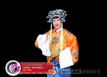 【视频】《打龙袍-一见皇儿跪埃尘》刘萍萍