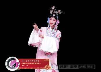 【视频】《柳荫记-自从别兄转家乡》丁玥