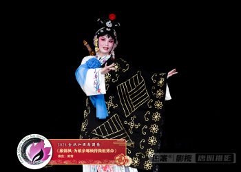 【视频】《廉锦枫-为娘亲哪顾得微躯薄命》黄莺