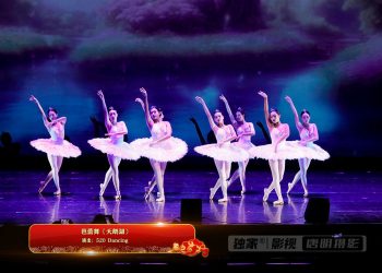 【视频】芭蕾舞《天鹅湖》| 演出：520 Dancing