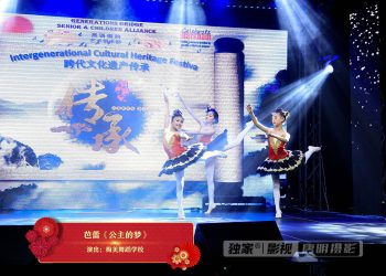 【视频】芭蕾《公主的梦》| 演出：梅美舞蹈学校