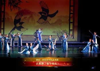 【视频】古典舞《喜上枝头》| 演出：多伦多华星艺术团