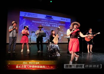 【视频】器乐合奏《外婆的澎湖湾》| 演出：枫彩艺术团