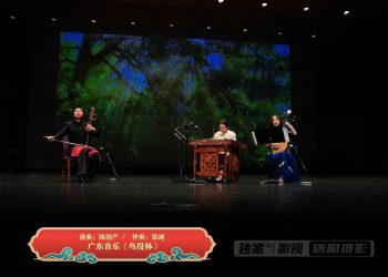 【视频】广东音乐《鸟投林》 | 演奏：陈国产 /  伴奏：张迪