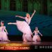 【视频】少儿芭蕾《Princess Ball 公主的舞会》| 演出：Angelina Ballet Studio