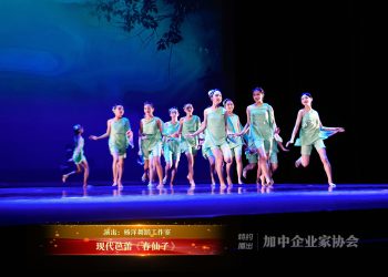 【视频】现代芭蕾《春仙子》| 演出：杨洋舞蹈工作室