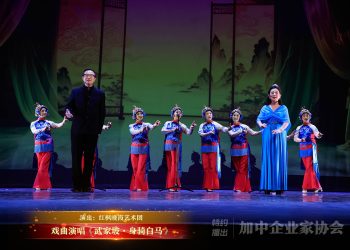 【视频】戏曲演唱《武家坡·身骑白马》| 演出：红枫晚霞艺术团