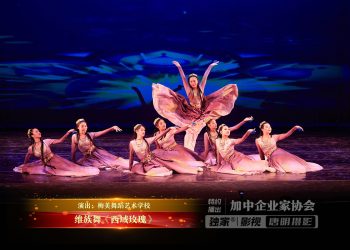 【视频】维族舞《西域玫瑰》| 演出：梅美舞蹈艺术学校