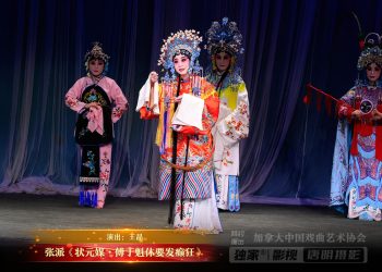 【视频】张派《状元媒•傅丁魁休要发癫狂》| 演出：王晶