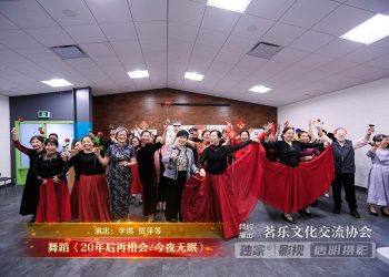 【视频】舞蹈《20年后再相会/今夜无眠》| 演出：李琪 贺萍等