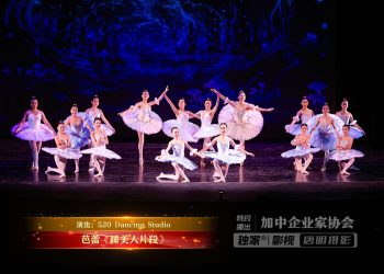【视频】芭蕾《睡美人片段》| 演出：520 Dancing Studio