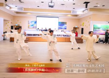 【视频】《传统杨氏(节选)》| 演出：丁建平太极班