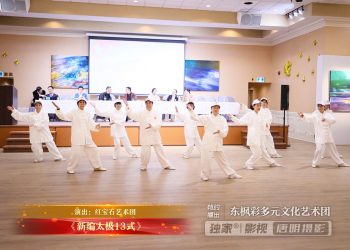 【视频】《新编太极13式》| 演出：红宝石艺术团