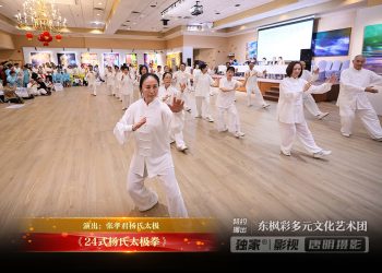 【视频】《24式杨氏太极拳》| 演出：张孝君杨氏太极