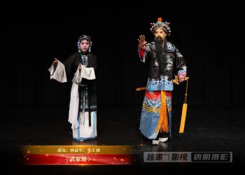 【视频】《武家坡》 | 演出：林益华、李王澜