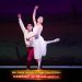 【视频】芭蕾舞剧选段《la fillemal gardée》