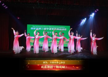 【视频】戏曲舞蹈《梅花赋》| 演出：万锦市童心协会