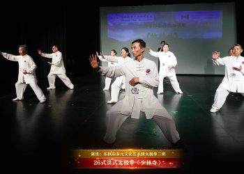【视频】26式洪式太极拳《少林寺》| 演出：东枫彩多元文化艺术团太极拳二班