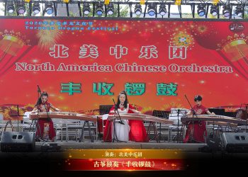 【视频】古筝独奏《丰收锣鼓》| 演奏：北美中乐团