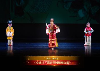 【视频】《空城计·我正在城楼观山景》| 演出：林益华
