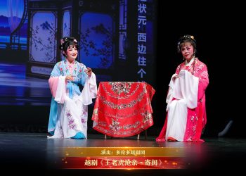 【视频】越剧《王老虎抢亲·寄闺》| 演出：多伦多越剧团
