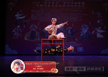 【视频】《三岔口》| 演出：浙江婺剧院